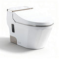 Wit toilet met geïntegreerde bidetfunctie afmetingen 70 x 38 x 50cm